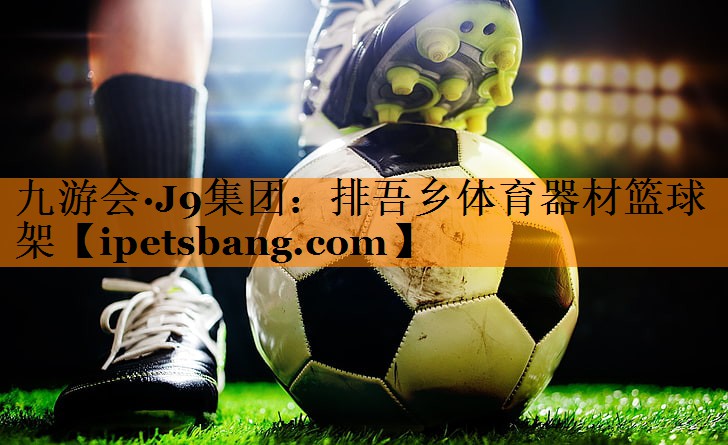 排吾乡体育器材篮球架 排吾乡体育器材篮球架