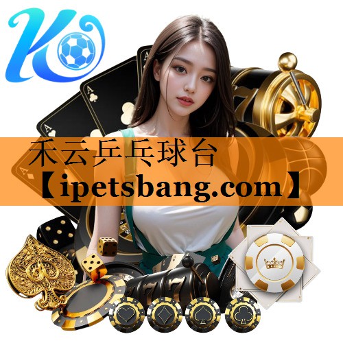 禾云乒乓球台 禾云乒乓球台