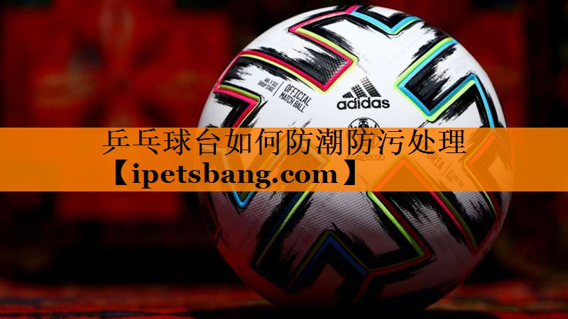 乒乓球台如何防潮防污处理 乒乓球台如何防潮防污处理
