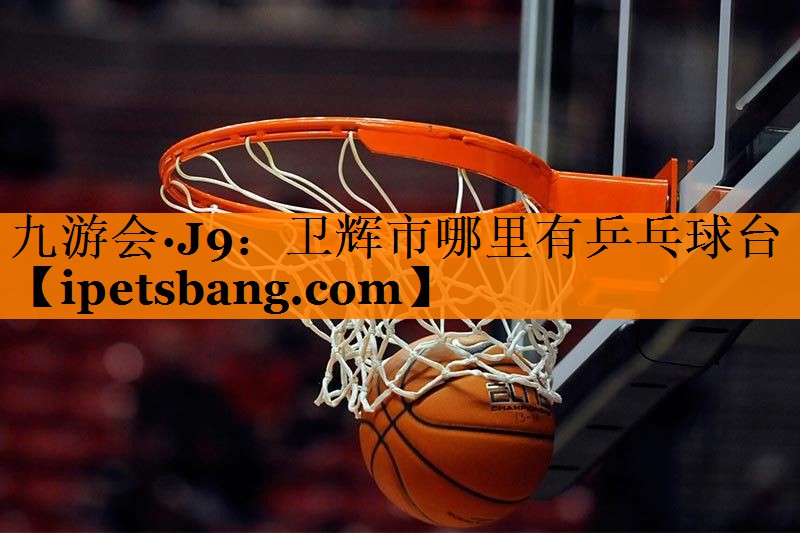 卫辉市哪里有乒乓球台 卫辉市哪里有乒乓球台