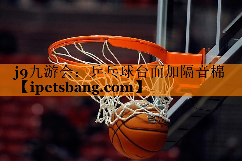 乒乓球台面加隔音棉 乒乓球台面加隔音棉