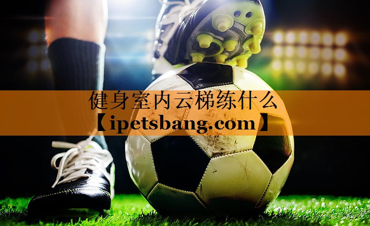 健身室内云梯练什么