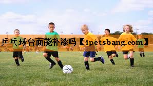 乒乓球台面能补漆吗