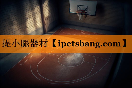 提小腿器材