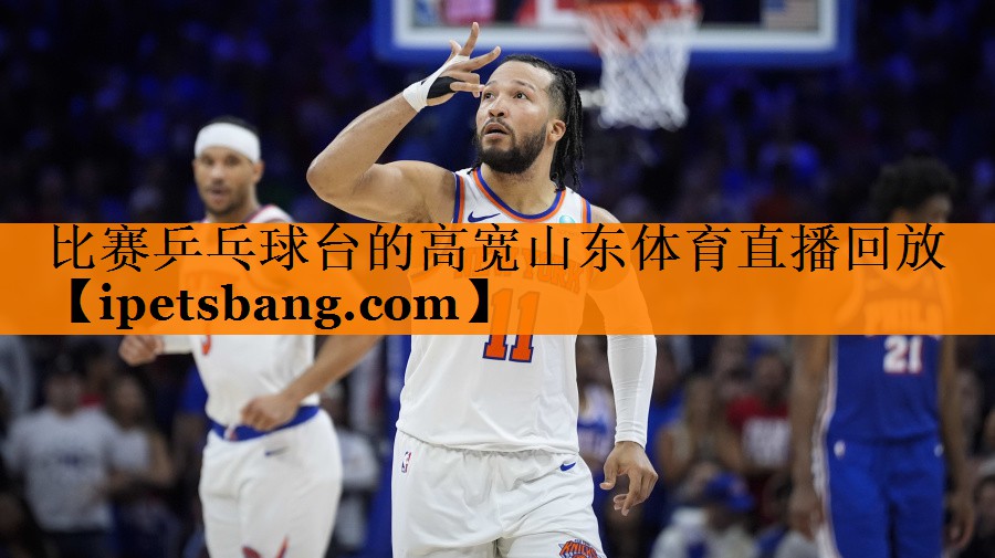 比赛乒乓球台的高宽山东体育直播回放