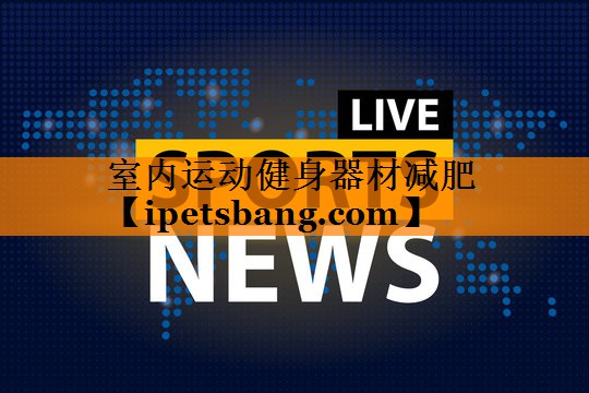 室内运动健身器材减肥