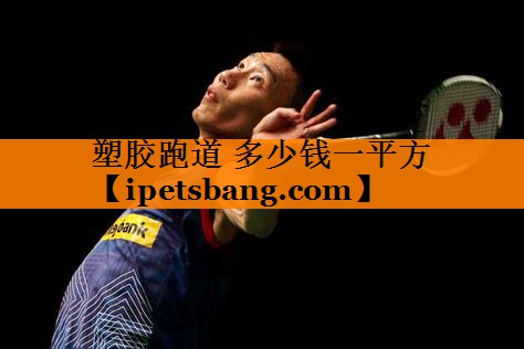 塑胶跑道 多少钱一平方
