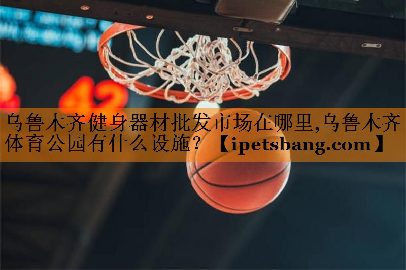 乌鲁木齐健身器材批发市场在哪里,乌鲁木齐体育公园有什么设施？