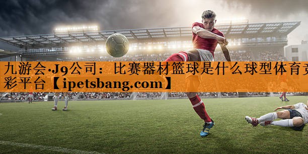 九游会·J9公司：比赛器材篮球是什么球型体育竞彩平台