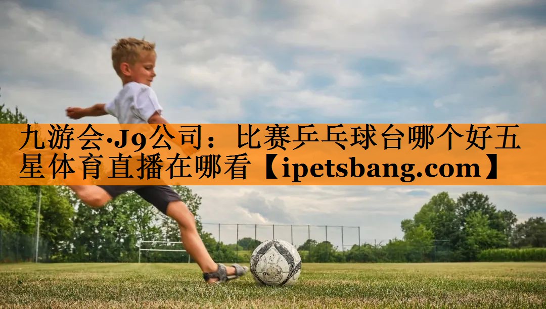九游会·J9公司：比赛乒乓球台哪个好五星体育直播在哪看