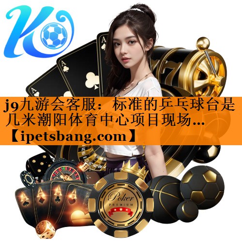 j9九游会客服：标准的乒乓球台是几米潮阳体育中心项目现场…