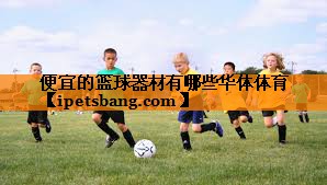 便宜的篮球器材有哪些华体体育
