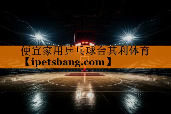 便宜家用乒乓球台其利体育