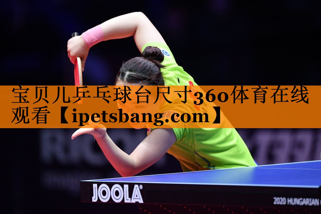 宝贝儿乒乓球台尺寸360体育在线观看