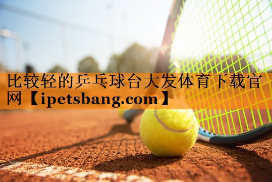 比较轻的乒乓球台大发体育下载官网