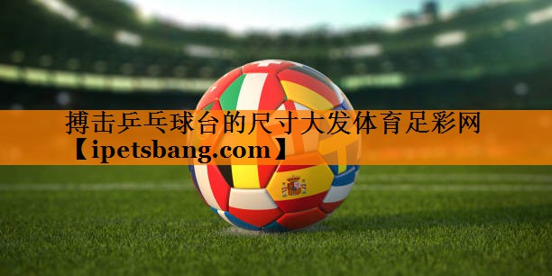 搏击乒乓球台的尺寸大发体育足彩网