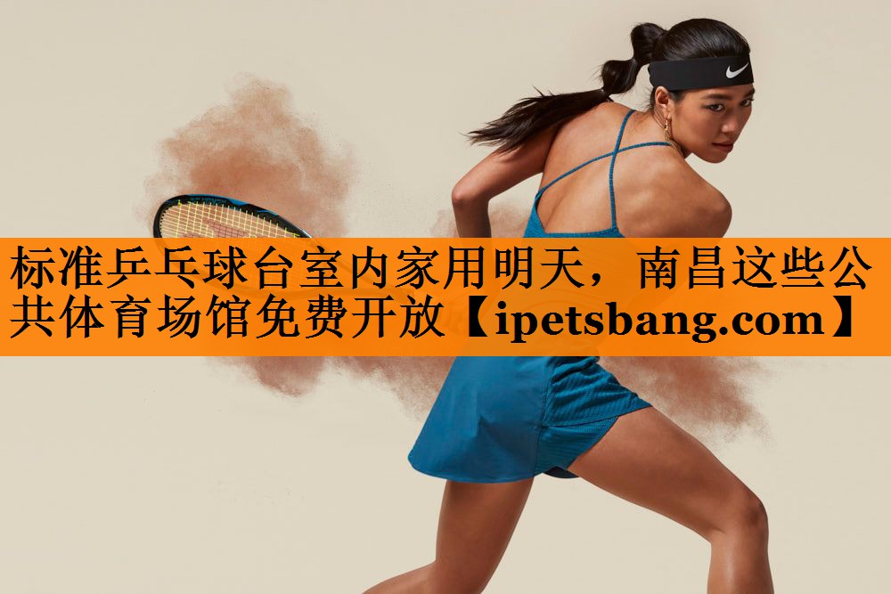 标准乒乓球台室内家用明天，南昌这些公共体育场馆免费开放
