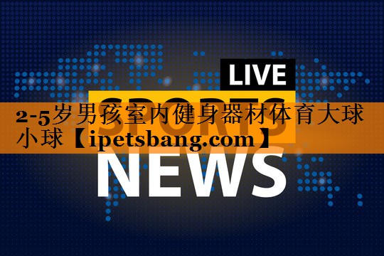 2-5岁男孩室内健身器材体育大球小球