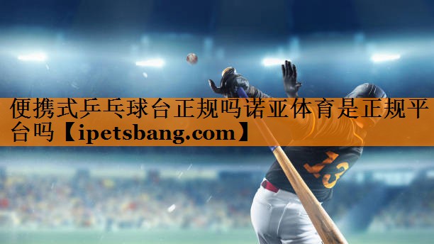 便携式乒乓球台正规吗诺亚体育是正规平台吗