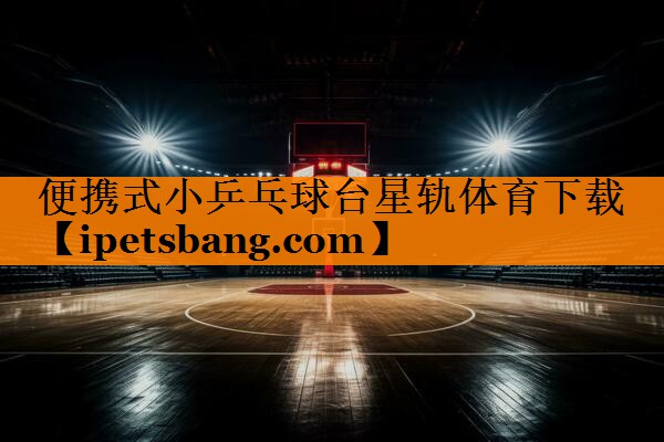 便携式小乒乓球台星轨体育下载