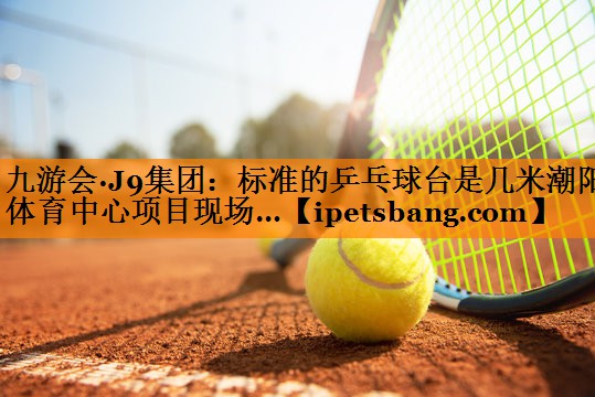九游会·J9集团：标准的乒乓球台是几米潮阳体育中心项目现场…
