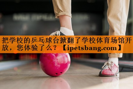 把学校的乒乓球台掀翻了学校体育场馆开放，您体验了么？