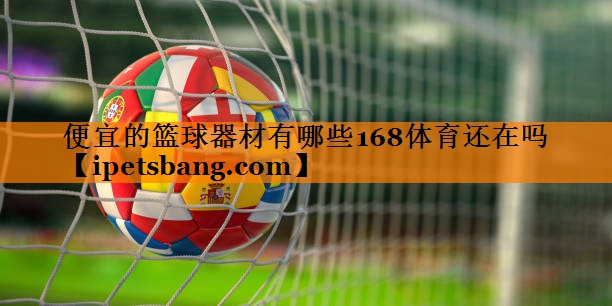 便宜的篮球器材有哪些168体育还在吗