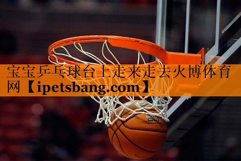 宝宝乒乓球台上走来走去火博体育网
