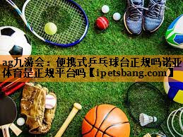 ag九游会：便携式乒乓球台正规吗诺亚体育是正规平台吗