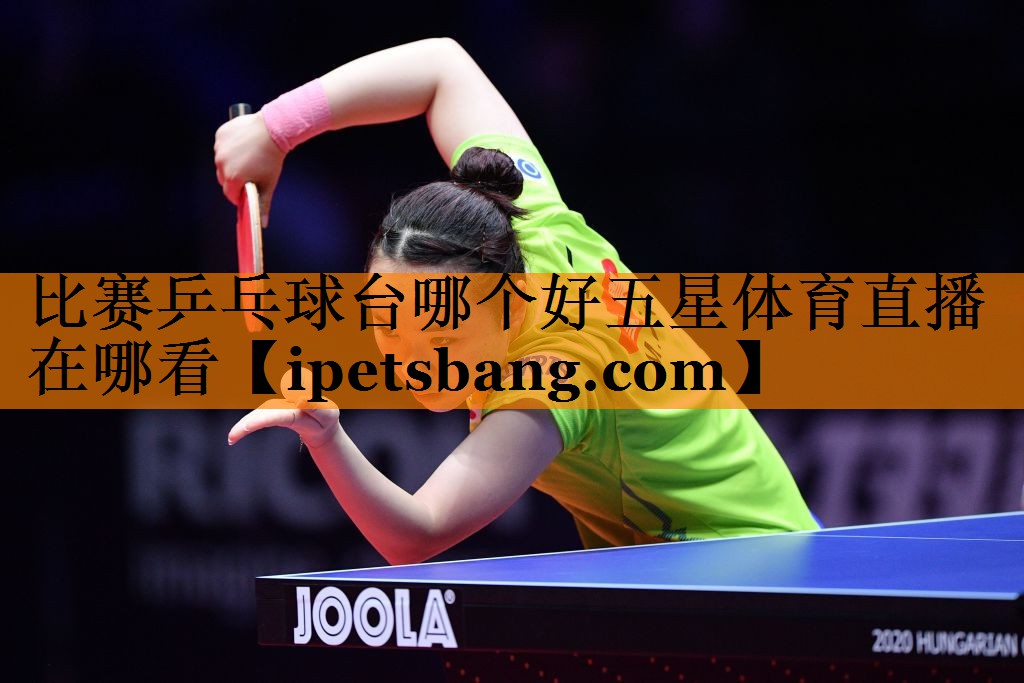 比赛乒乓球台哪个好五星体育直播在哪看