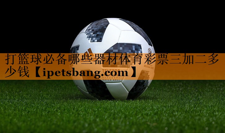 打篮球必备哪些器材体育彩票三加二多少钱