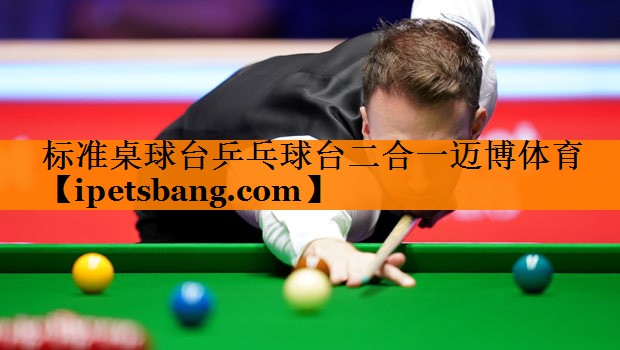 标准桌球台乒乓球台二合一迈博体育