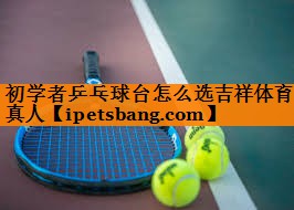 初学者乒乓球台怎么选吉祥体育真人