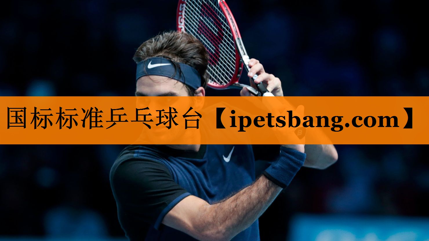 国标标准乒乓球台 国标标准乒乓球台