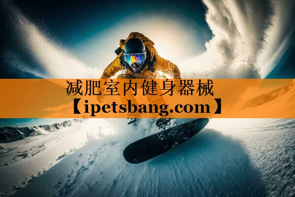 减肥室内健身器械 减肥室内健身器械