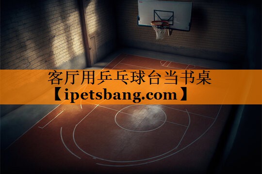 客厅用乒乓球台当书桌 客厅用乒乓球台当书桌