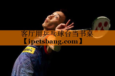 客厅用乒乓球台当书桌 客厅用乒乓球台当书桌