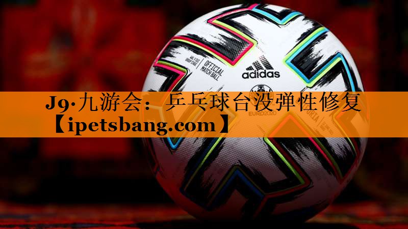 乒乓球台没弹性修复 乒乓球台没弹性修复
