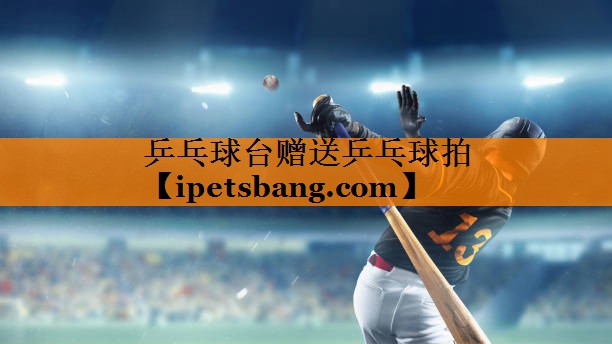 乒乓球台赠送乒乓球拍 乒乓球台赠送乒乓球拍