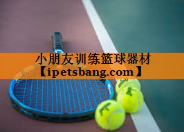 小朋友训练篮球器材 小朋友训练篮球器材