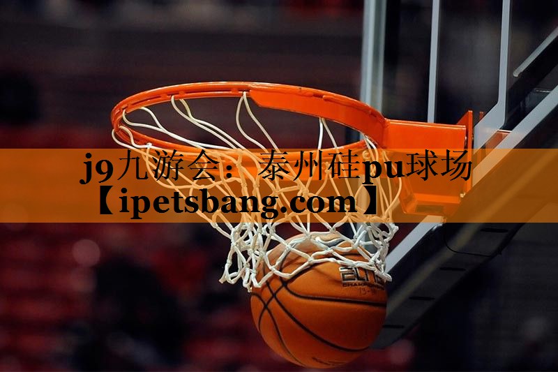 泰州硅pu球场 泰州硅pu球场