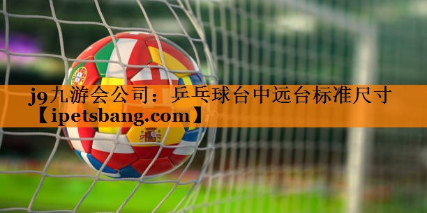 乒乓球台中远台标准尺寸 乒乓球台中远台标准尺寸
