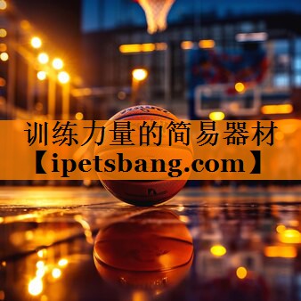 训练力量的简易器材 训练力量的简易器材