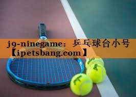 乒乓球台小号 乒乓球台小号
