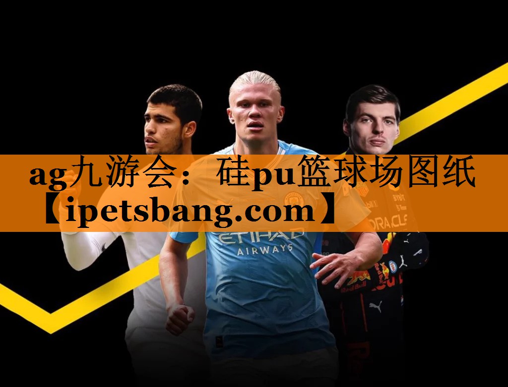 硅pu篮球场图纸 硅pu篮球场图纸