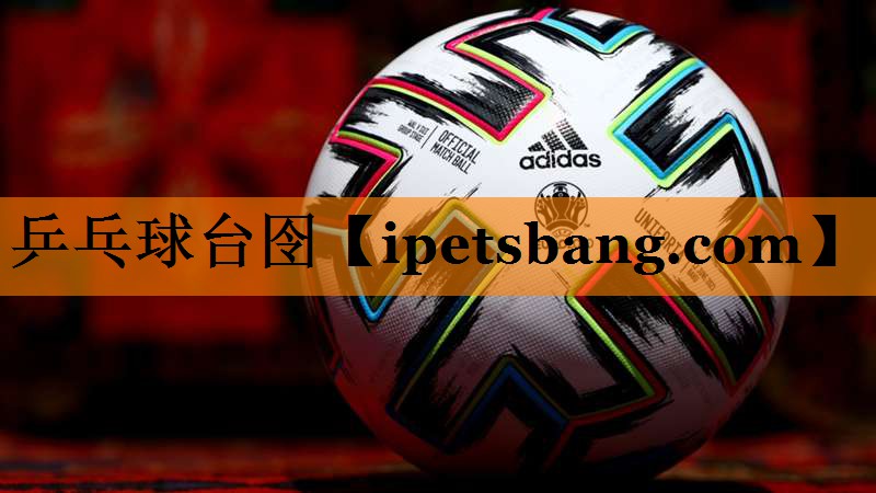 乒乓球台囹 乒乓球台囹