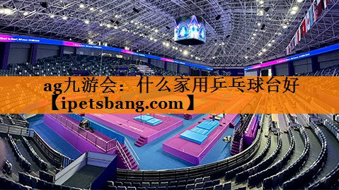 什么家用乒乓球台好 什么家用乒乓球台好