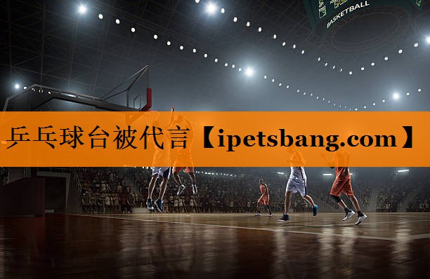 乒乓球台被代言 乒乓球台被代言