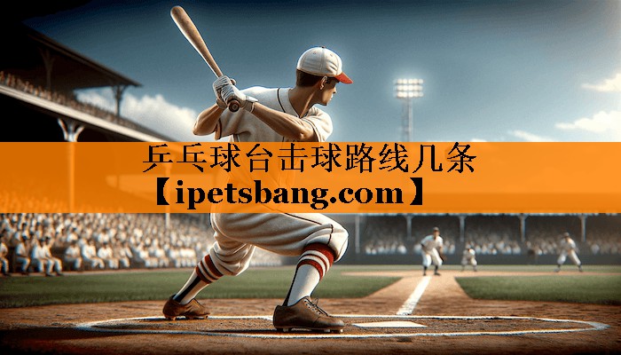 乒乓球台击球路线几条 乒乓球台击球路线几条