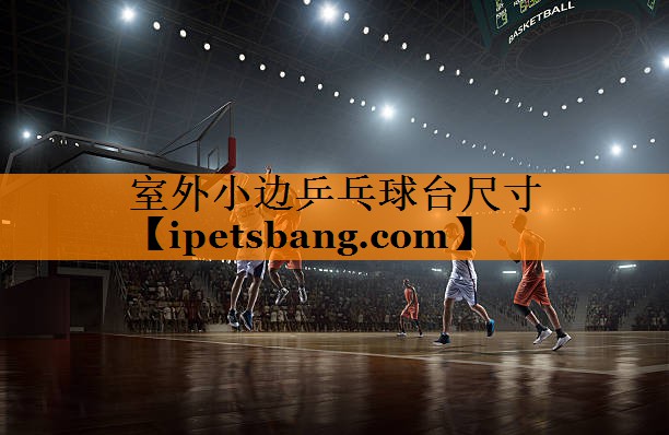 室外小边乒乓球台尺寸 室外小边乒乓球台尺寸